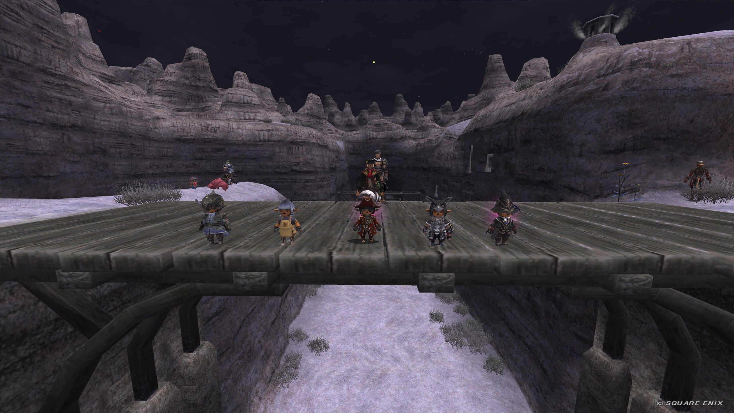 Party on Bridge