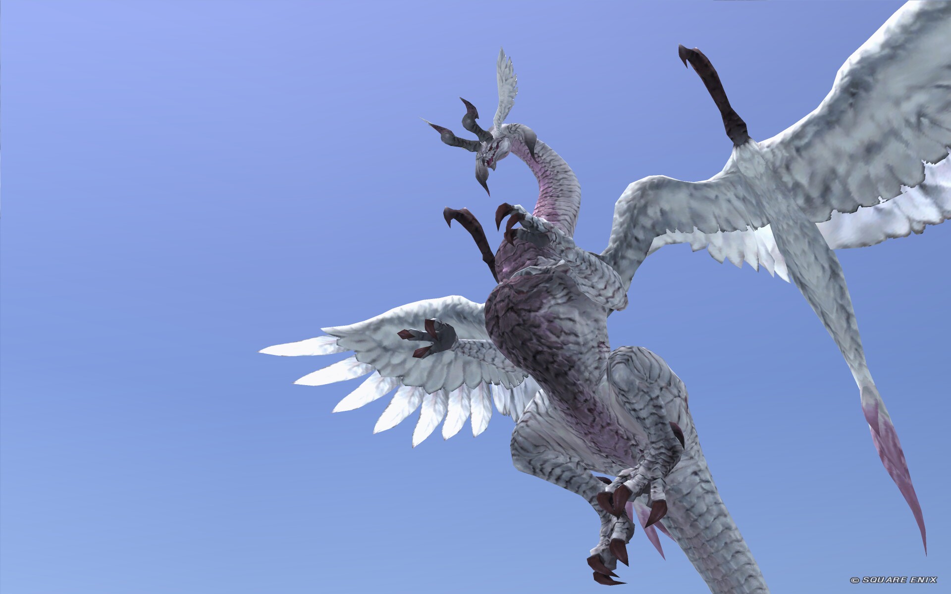 White Dragon